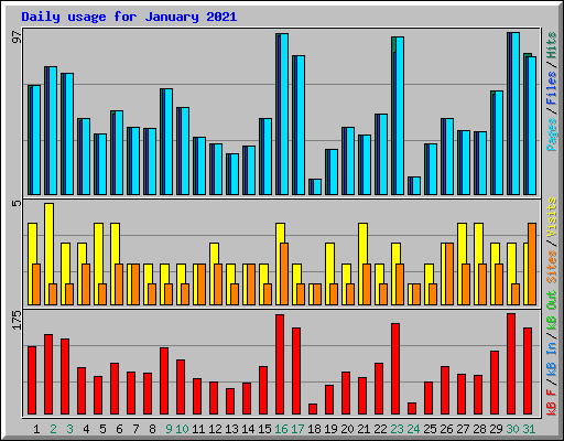 Daily usage for January 2021