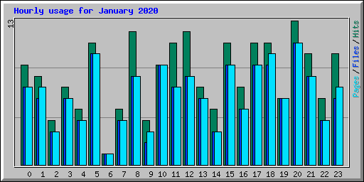 Hourly usage for January 2020