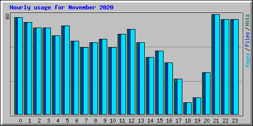 Hourly usage for November 2020