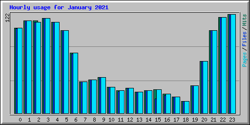 Hourly usage for January 2021