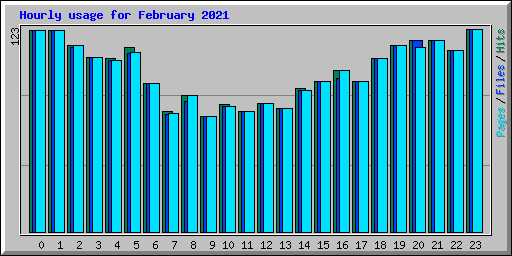 Hourly usage for February 2021