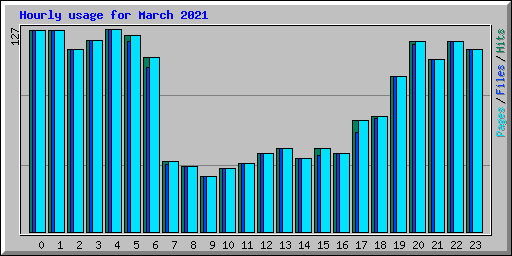 Hourly usage for March 2021