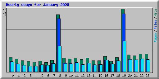 Hourly usage for January 2023
