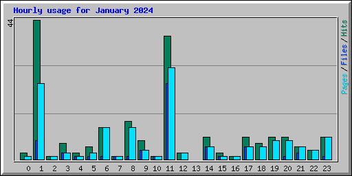 Hourly usage for January 2024
