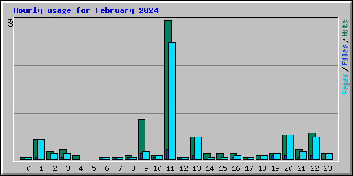Hourly usage for February 2024