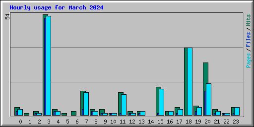 Hourly usage for March 2024