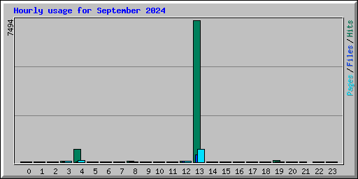 Hourly usage for September 2024