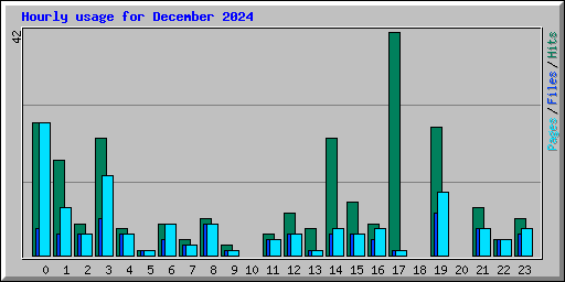 Hourly usage for December 2024