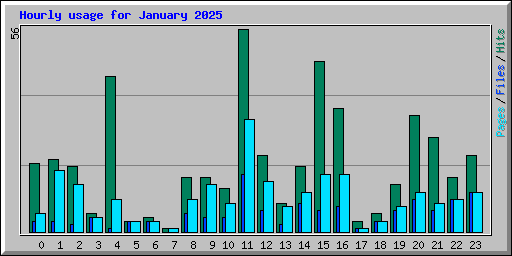 Hourly usage for January 2025