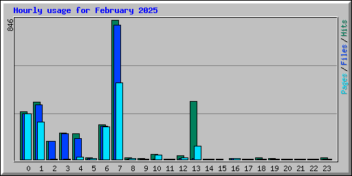Hourly usage for February 2025