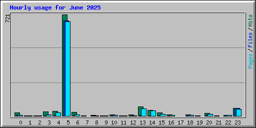 Hourly usage for June 2025