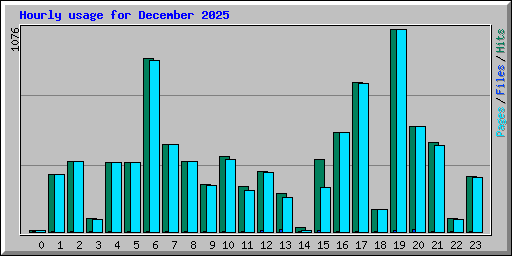 Hourly usage for December 2025