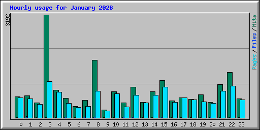 Hourly usage for January 2026