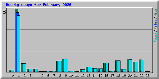 Hourly usage for February 2026
