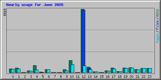Hourly usage for June 2026