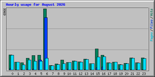 Hourly usage for August 2026