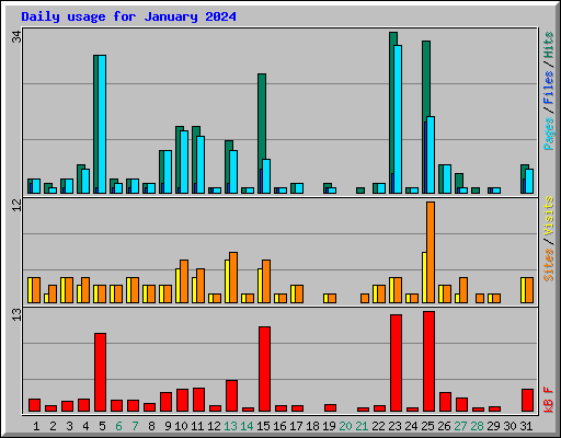 Daily usage for January 2024