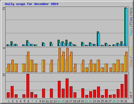 Daily usage for December 2024