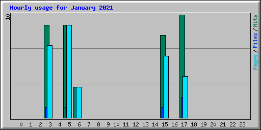 Hourly usage for January 2021