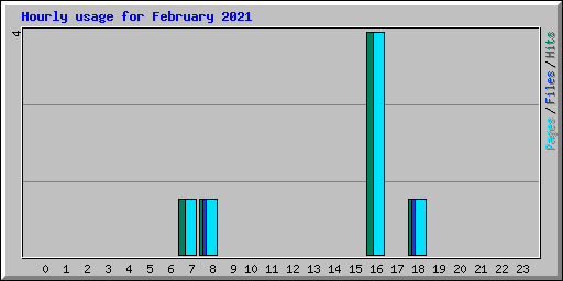 Hourly usage for February 2021