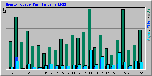 Hourly usage for January 2023