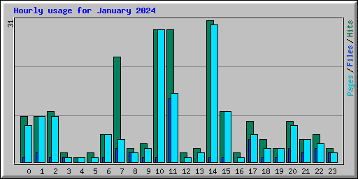 Hourly usage for January 2024