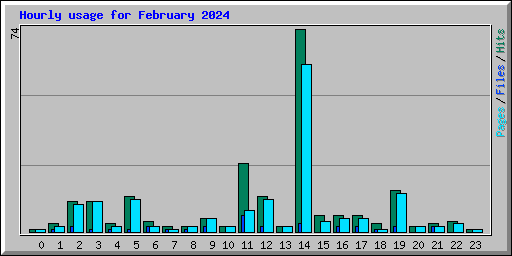Hourly usage for February 2024