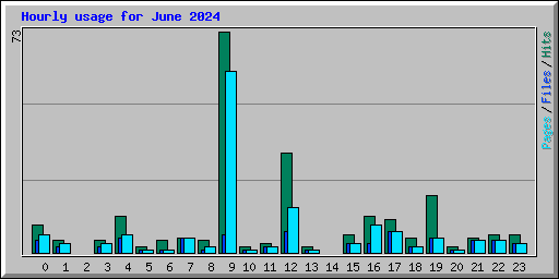 Hourly usage for June 2024