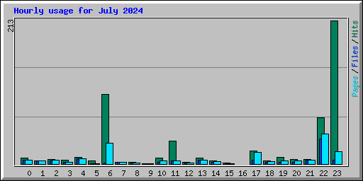 Hourly usage for July 2024