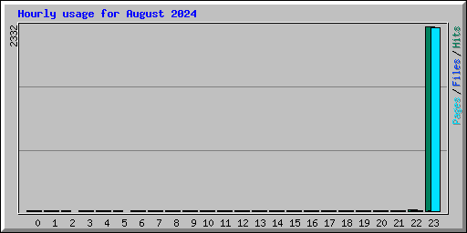 Hourly usage for August 2024