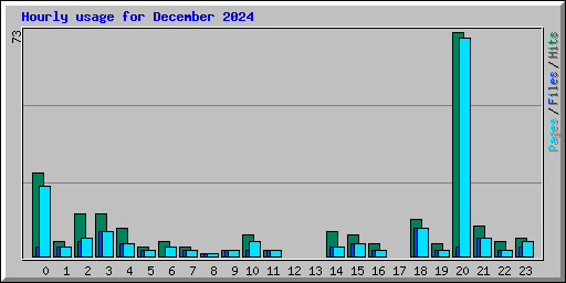 Hourly usage for December 2024