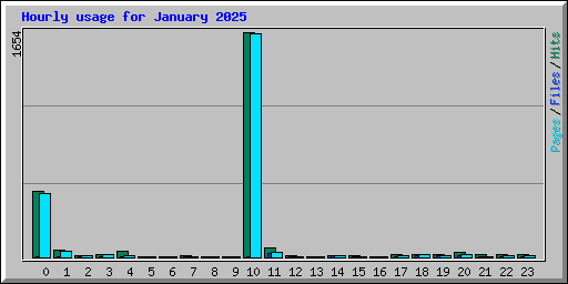 Hourly usage for January 2025
