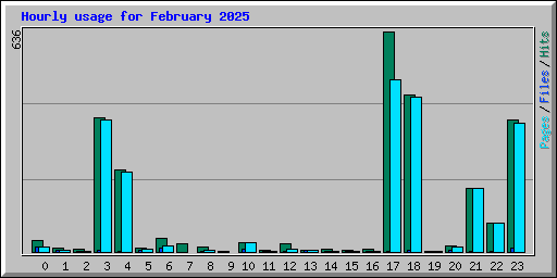 Hourly usage for February 2025