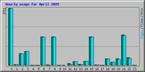 Hourly usage for April 2025