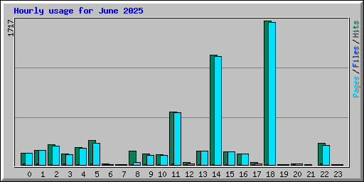 Hourly usage for June 2025