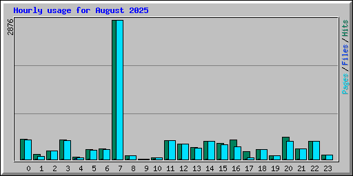 Hourly usage for August 2025