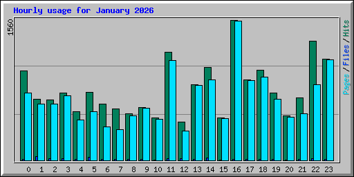 Hourly usage for January 2026