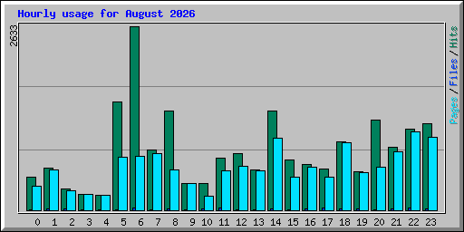 Hourly usage for August 2026