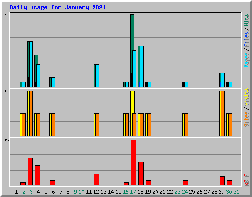 Daily usage for January 2021