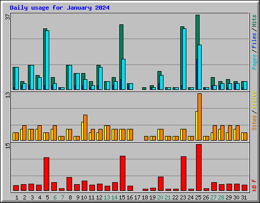 Daily usage for January 2024