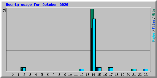 Hourly usage for October 2020