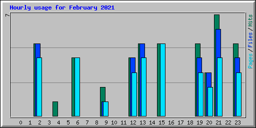 Hourly usage for February 2021