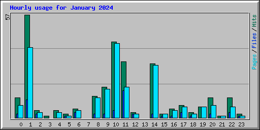 Hourly usage for January 2024