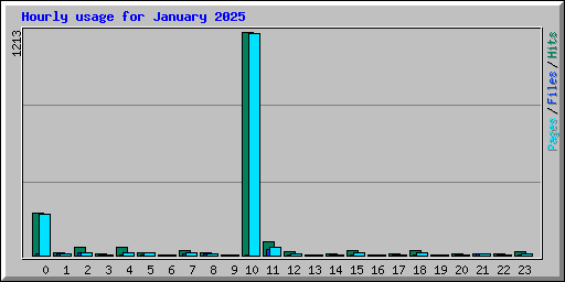 Hourly usage for January 2025