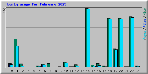 Hourly usage for February 2025