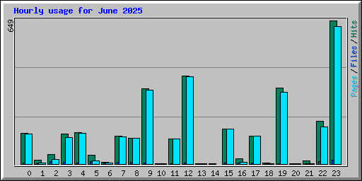 Hourly usage for June 2025