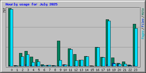 Hourly usage for July 2025