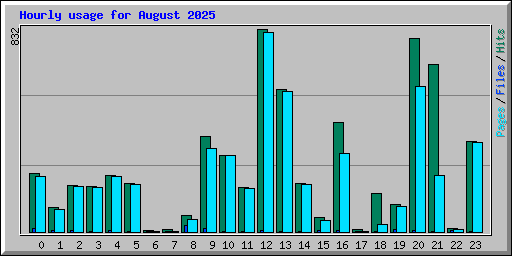Hourly usage for August 2025