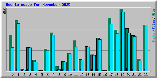 Hourly usage for November 2025