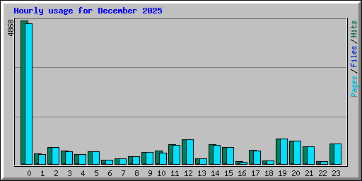 Hourly usage for December 2025